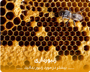 promo-banner-image