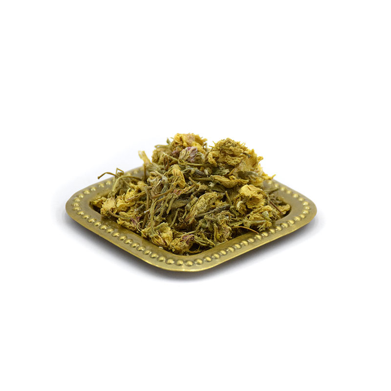 خرید-گل-مغربی